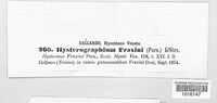 Hysterographium fraxini image